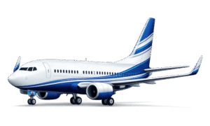 VIP Airliner